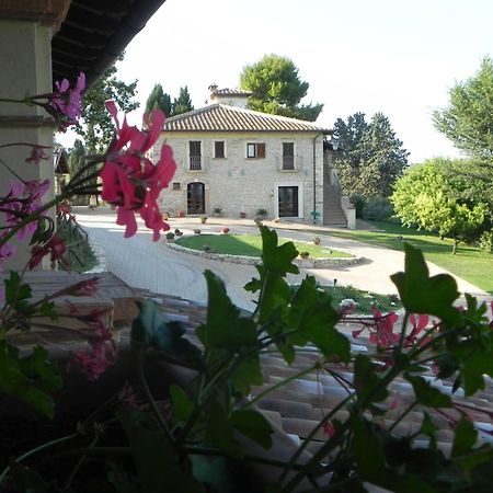 Tenuta Pizzogallo Amelia Exteriér fotografie