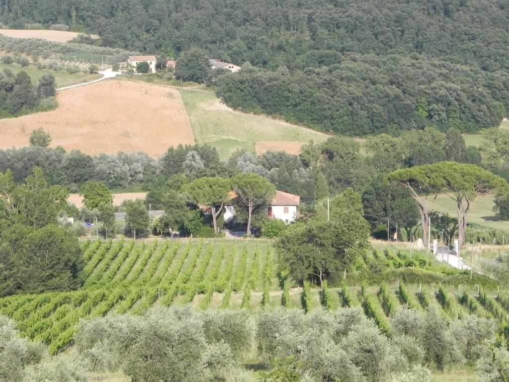 Tenuta Pizzogallo Amelia Pokoj fotografie