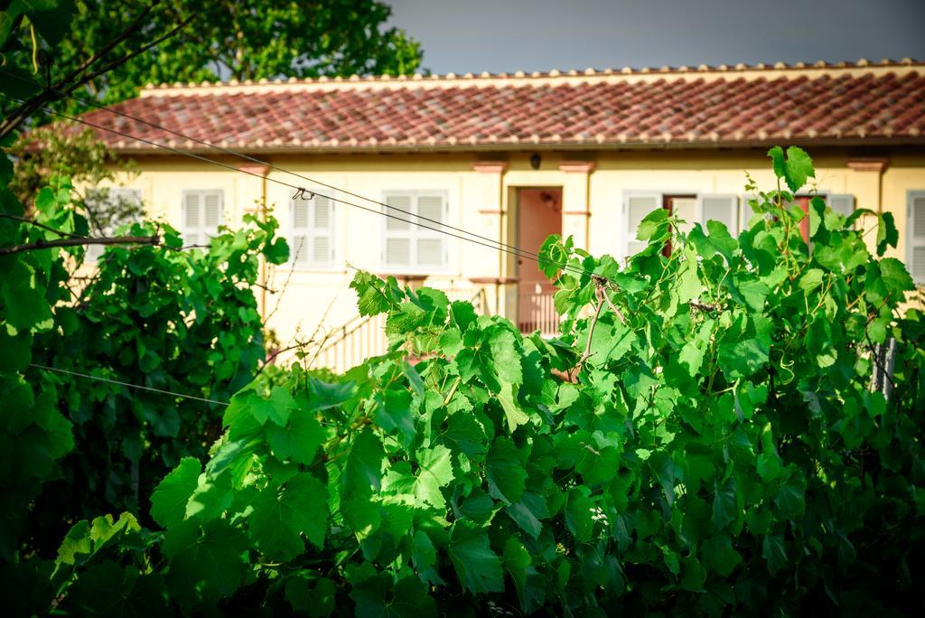 Tenuta Pizzogallo Amelia Exteriér fotografie