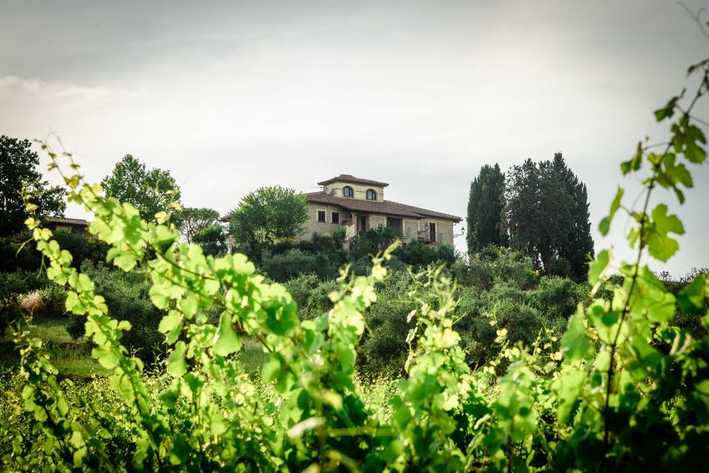 Tenuta Pizzogallo Amelia Exteriér fotografie