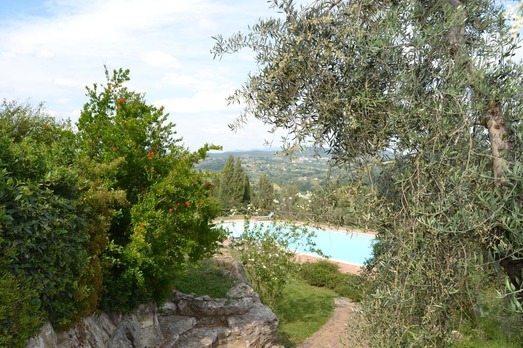 Tenuta Pizzogallo Amelia Exteriér fotografie