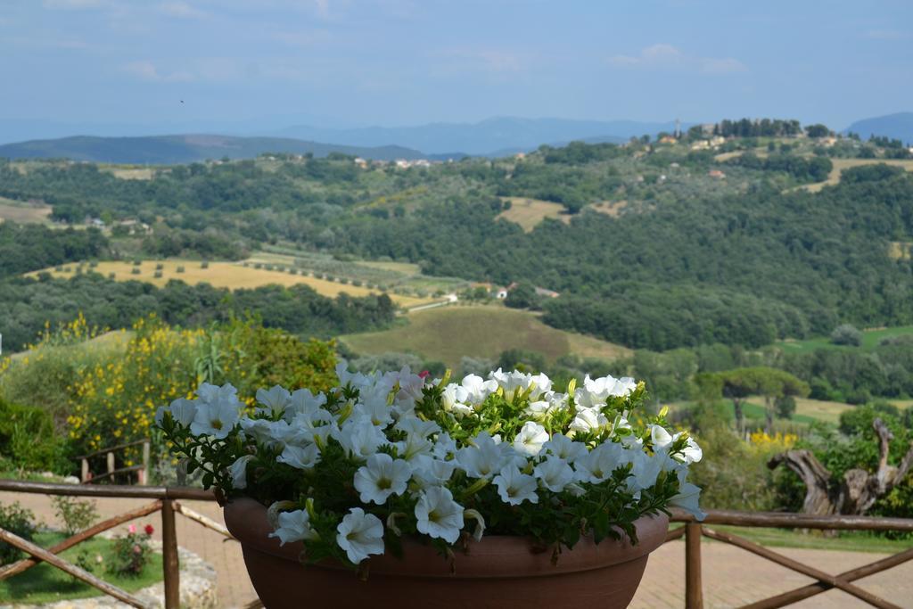 Tenuta Pizzogallo Amelia Exteriér fotografie