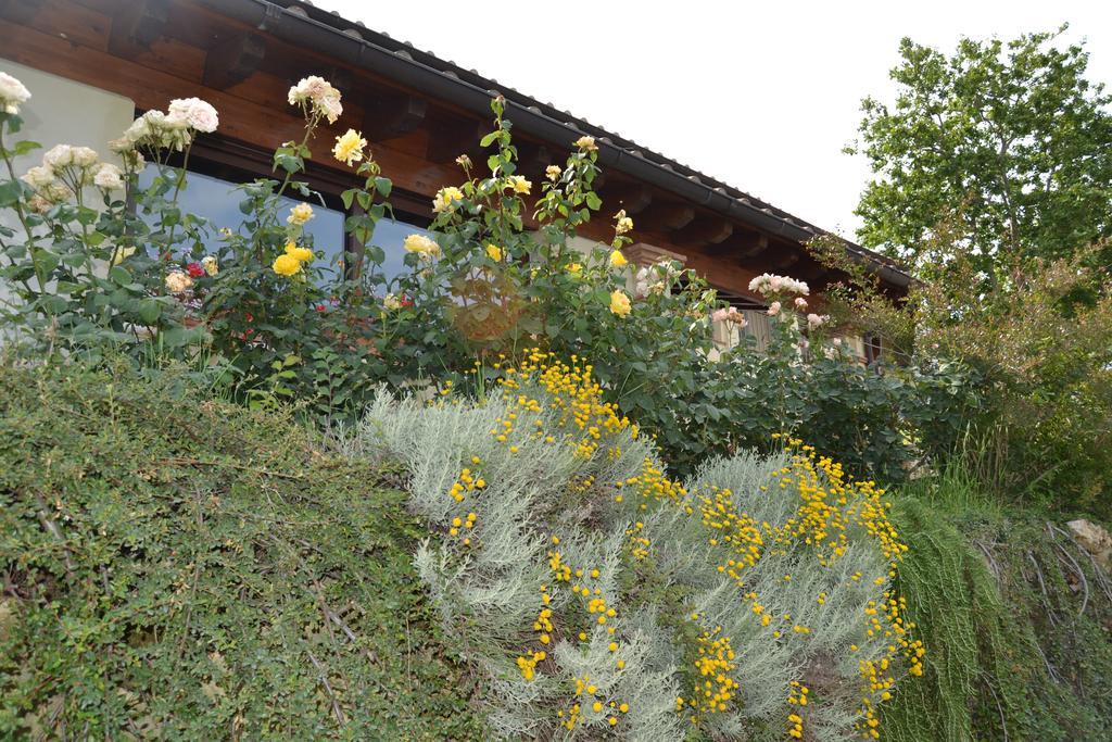 Tenuta Pizzogallo Amelia Exteriér fotografie