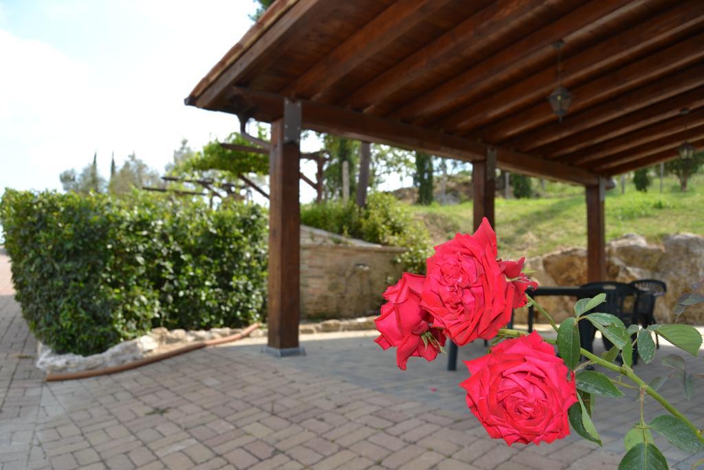 Tenuta Pizzogallo Amelia Exteriér fotografie