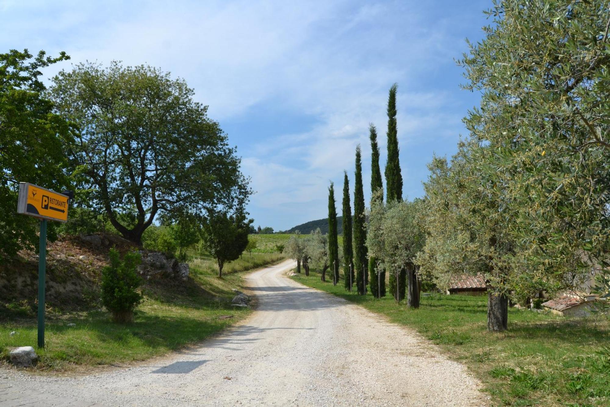 Tenuta Pizzogallo Amelia Exteriér fotografie