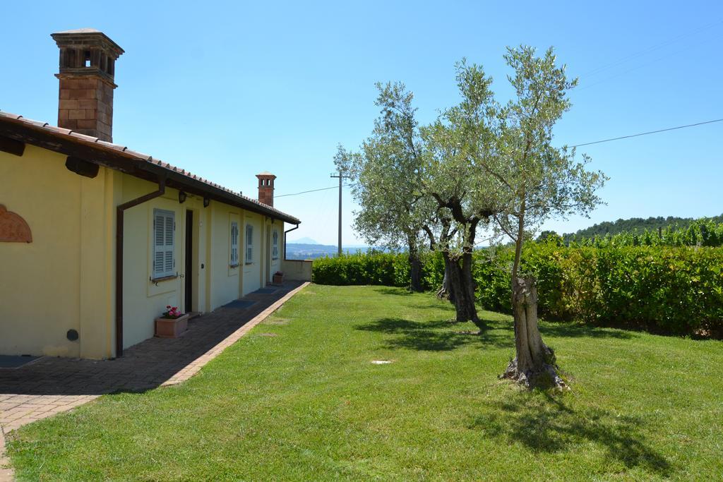Tenuta Pizzogallo Amelia Exteriér fotografie