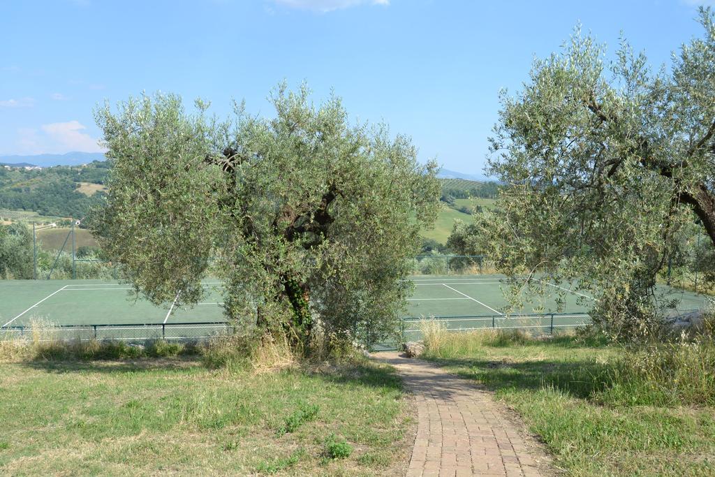 Tenuta Pizzogallo Amelia Exteriér fotografie