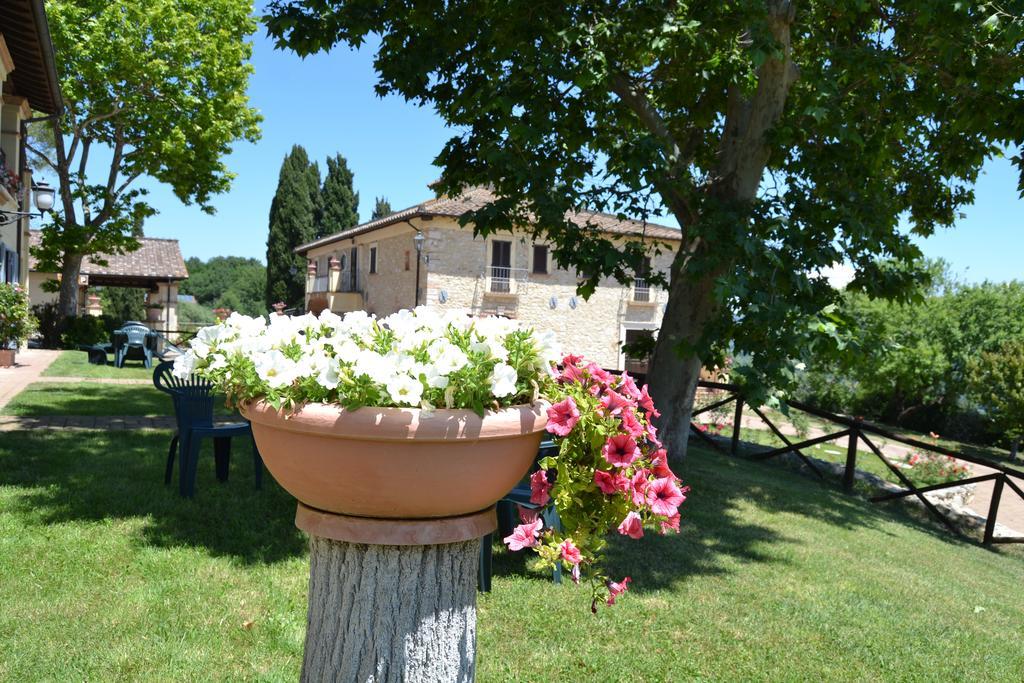Tenuta Pizzogallo Amelia Exteriér fotografie